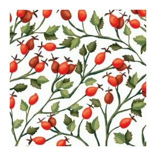 Rosehips