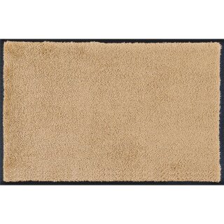 Sahara